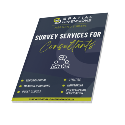 Survey Services website covers 3d (13)