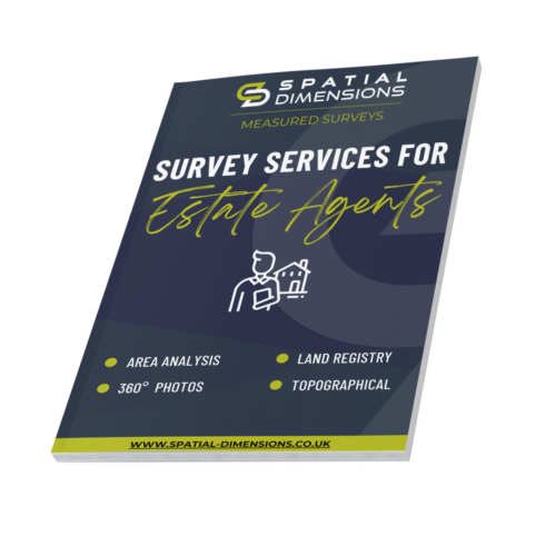 Survey Services website covers 3d (18)